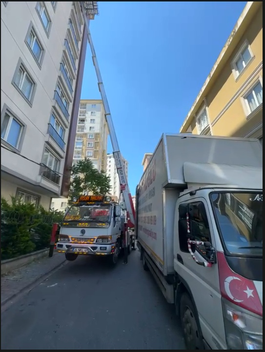 Has Köroğlu İş Görseli 2